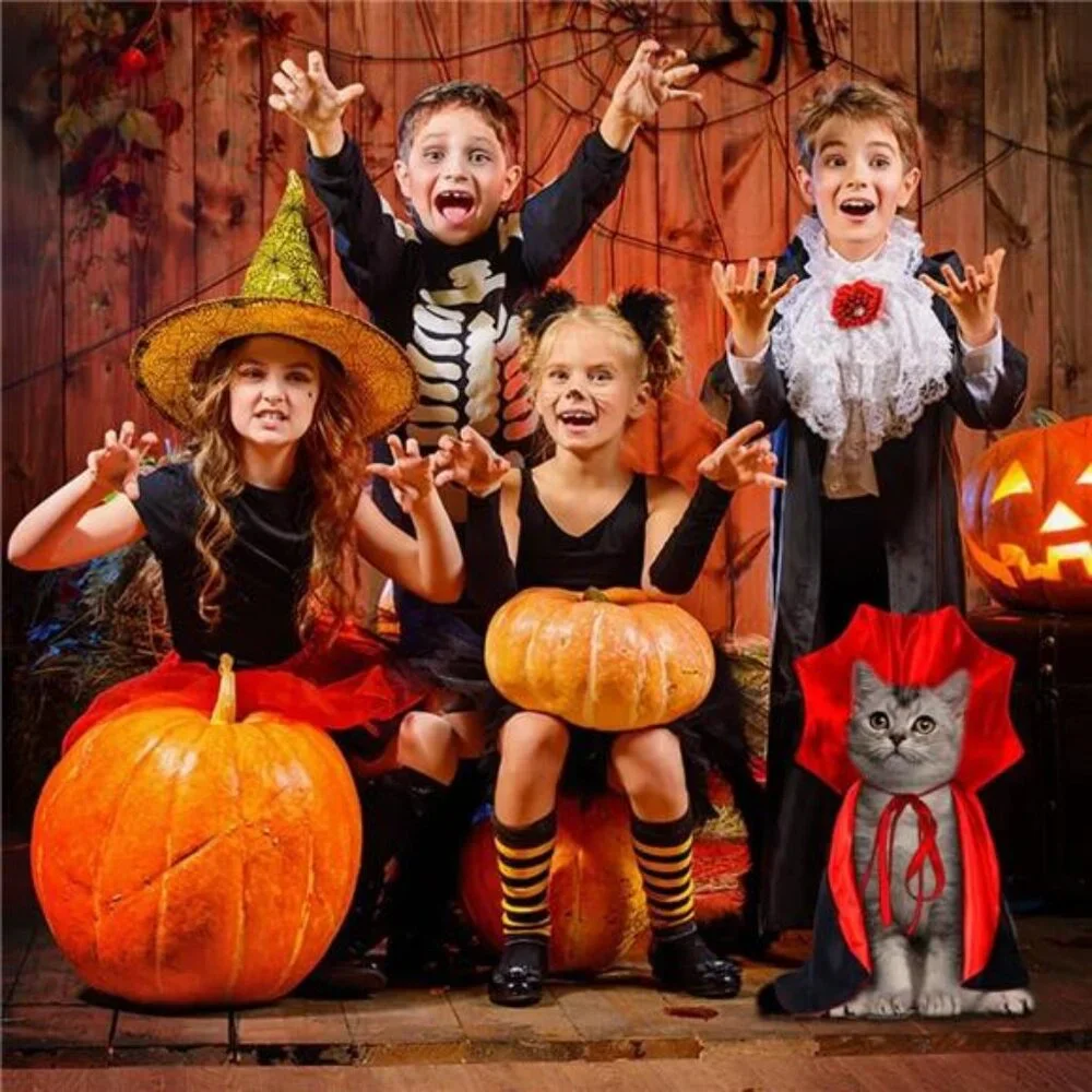 Halloween Pet Cape Costume - Vampire Cloak, Wizard Outfit, Witch Cosplay